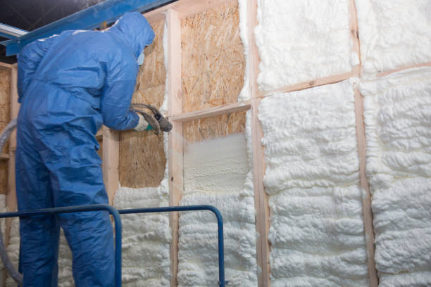 Trusted Oswego, IL Insulation Services Experts